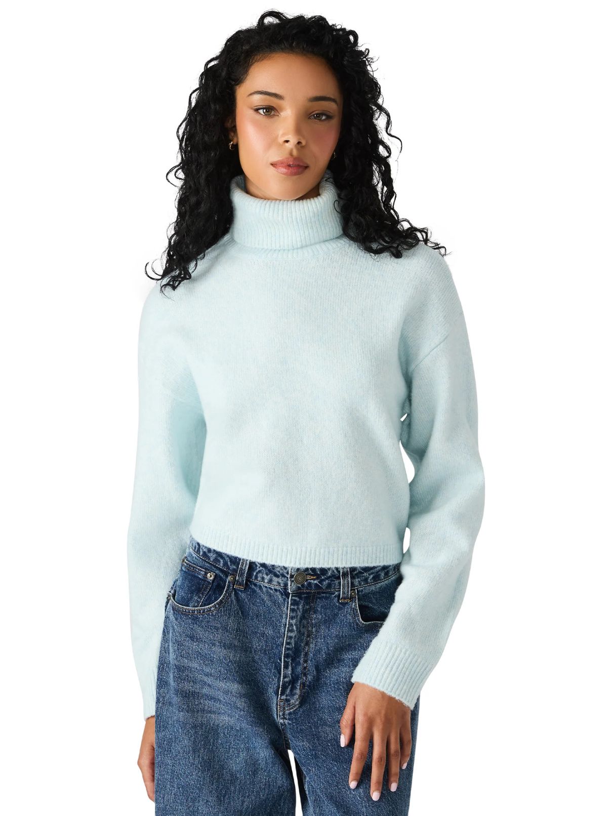 BB Dakota by Steve Madden Raegann Sweater in Powder Blue