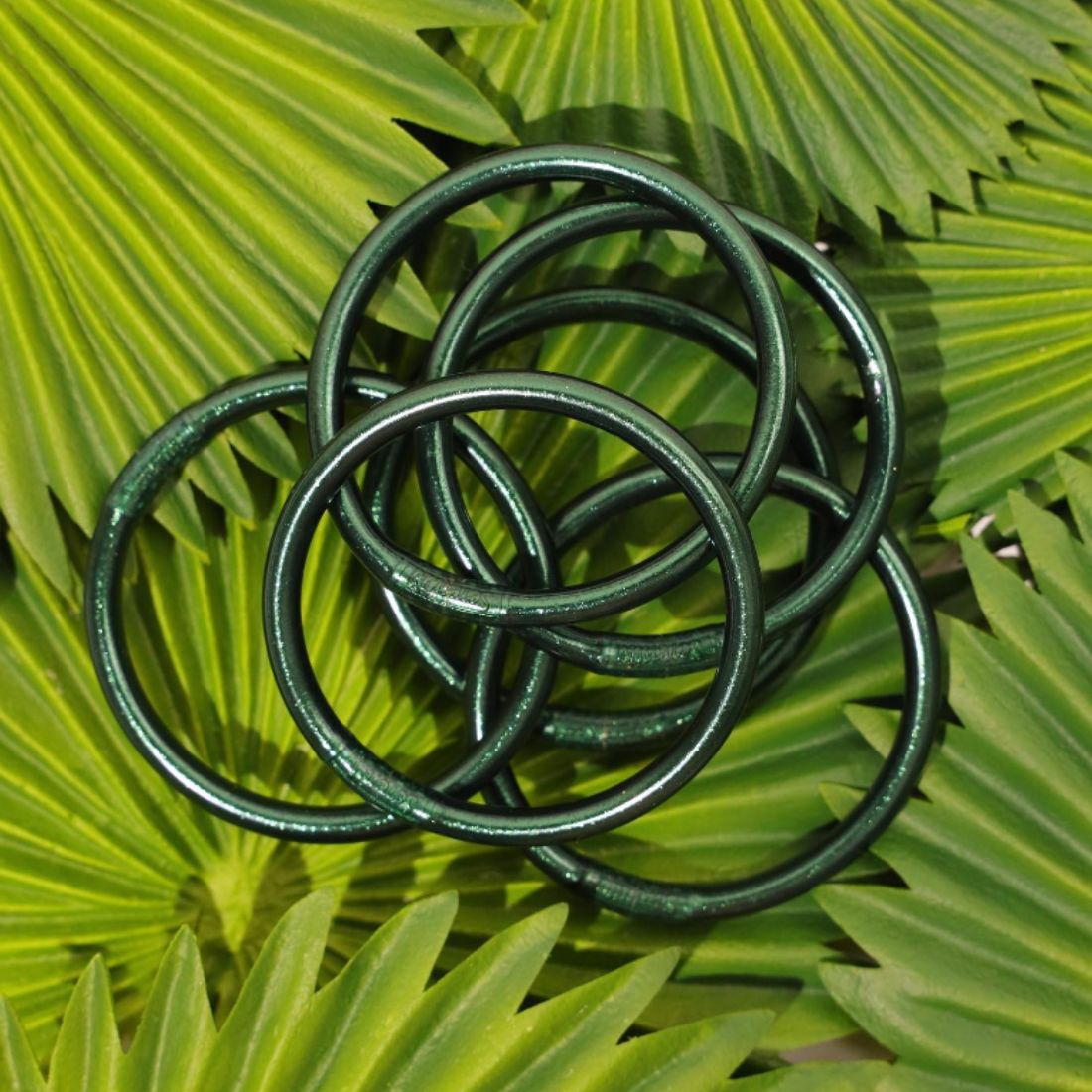 Budha Girl Frond Medium Set of 6 AWB