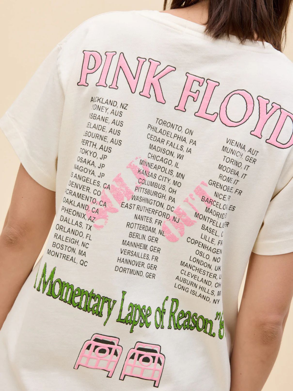 DAYDREAMER Pink Floyd Momentary Lapse of Reason Tour