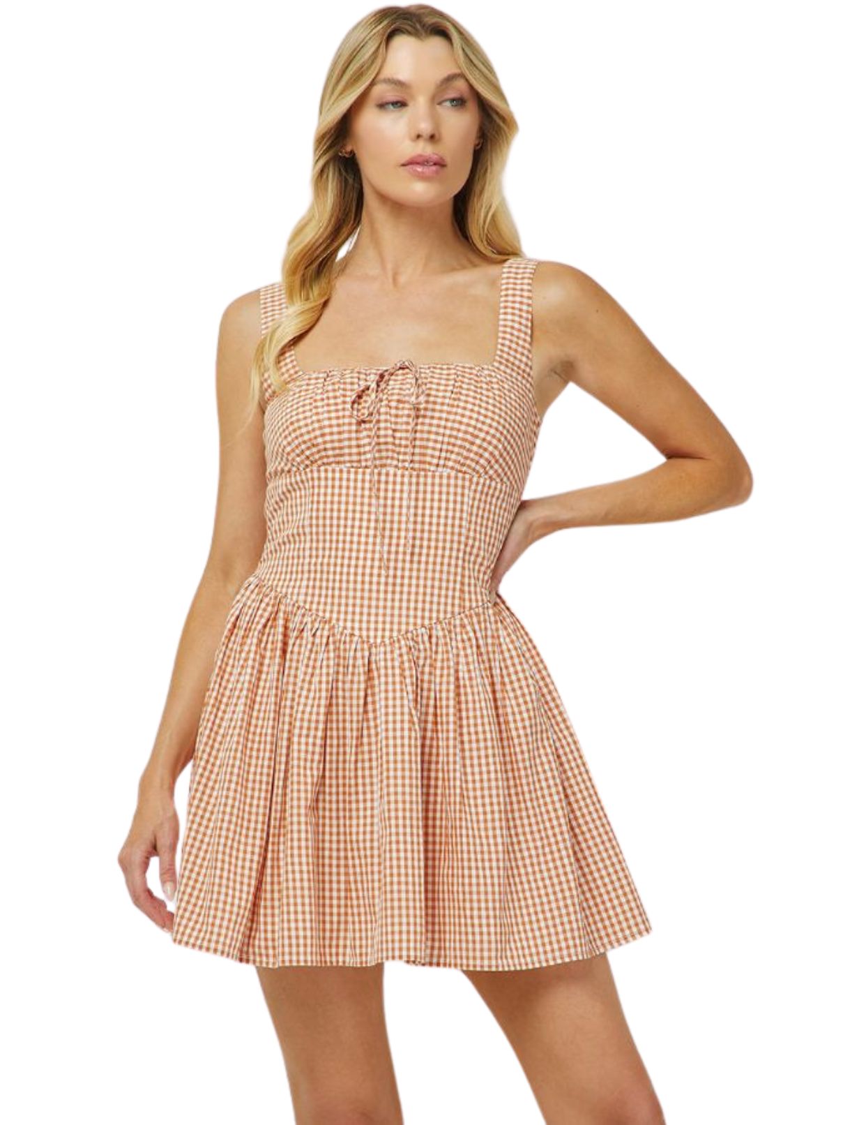Gingham Mini Dress in Rust