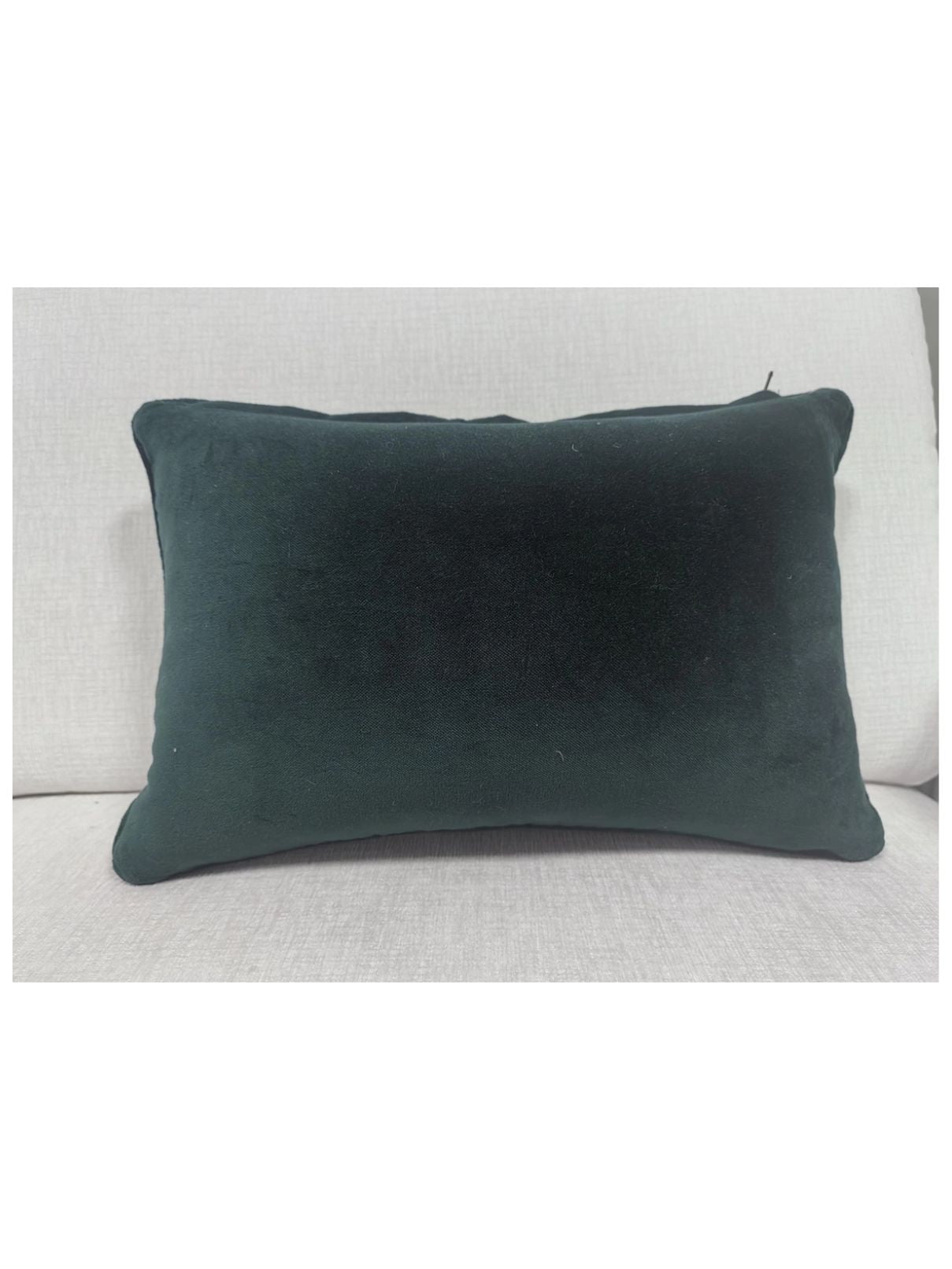 Home Is Where The Dog Is in Mint