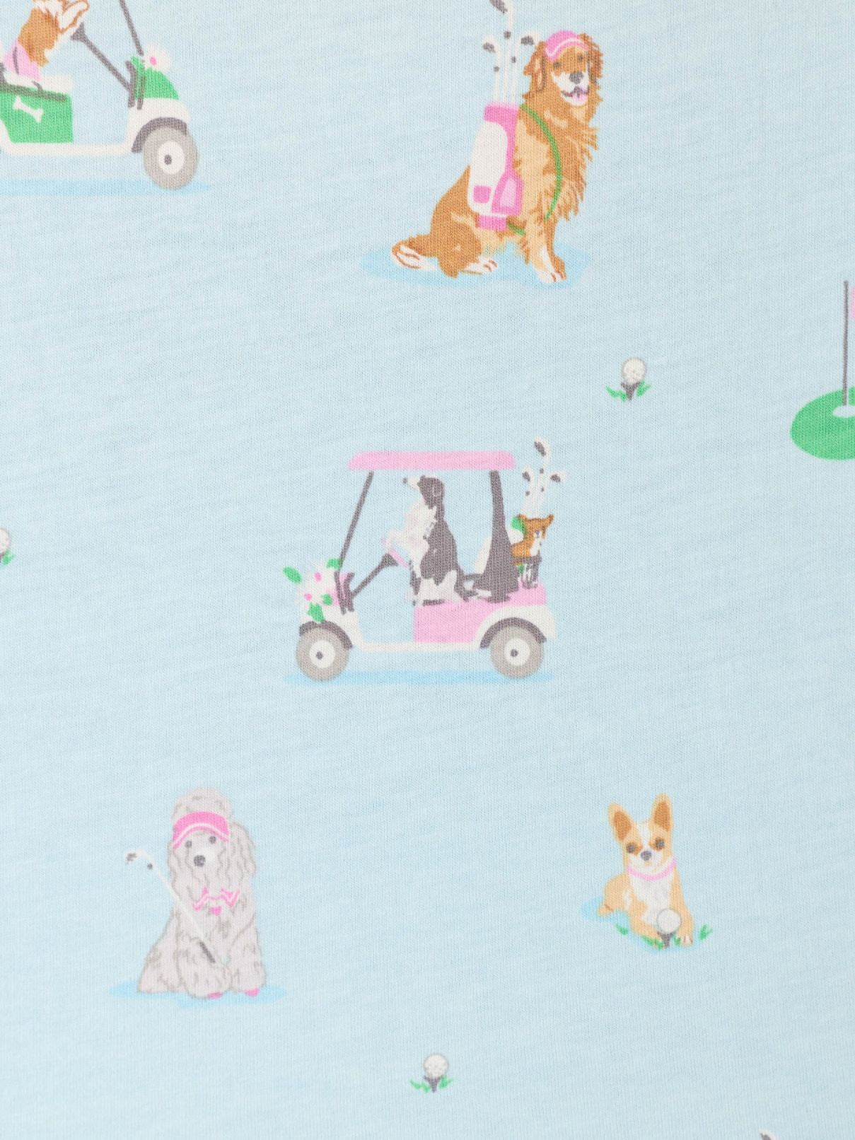 PJ Salvage Whimsy Pj Set in Lt Blue