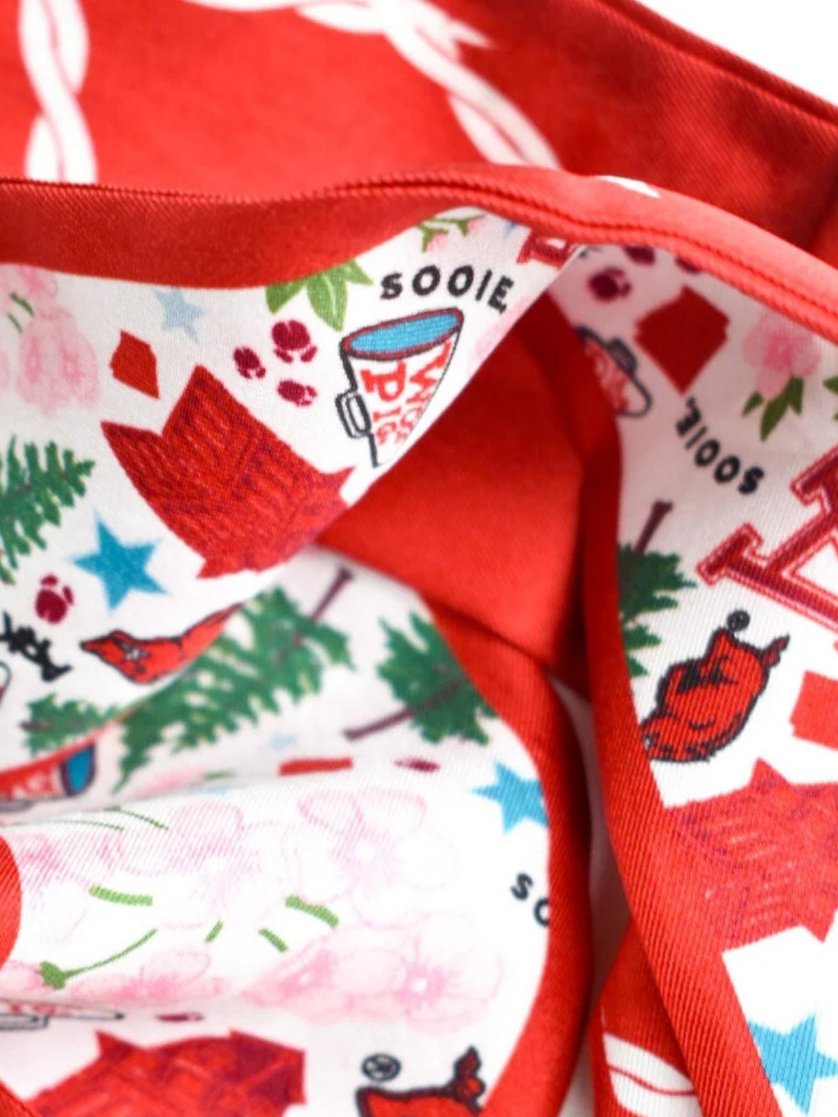 Saturday Silks Arkansas Razorbacks Skinny Scarf