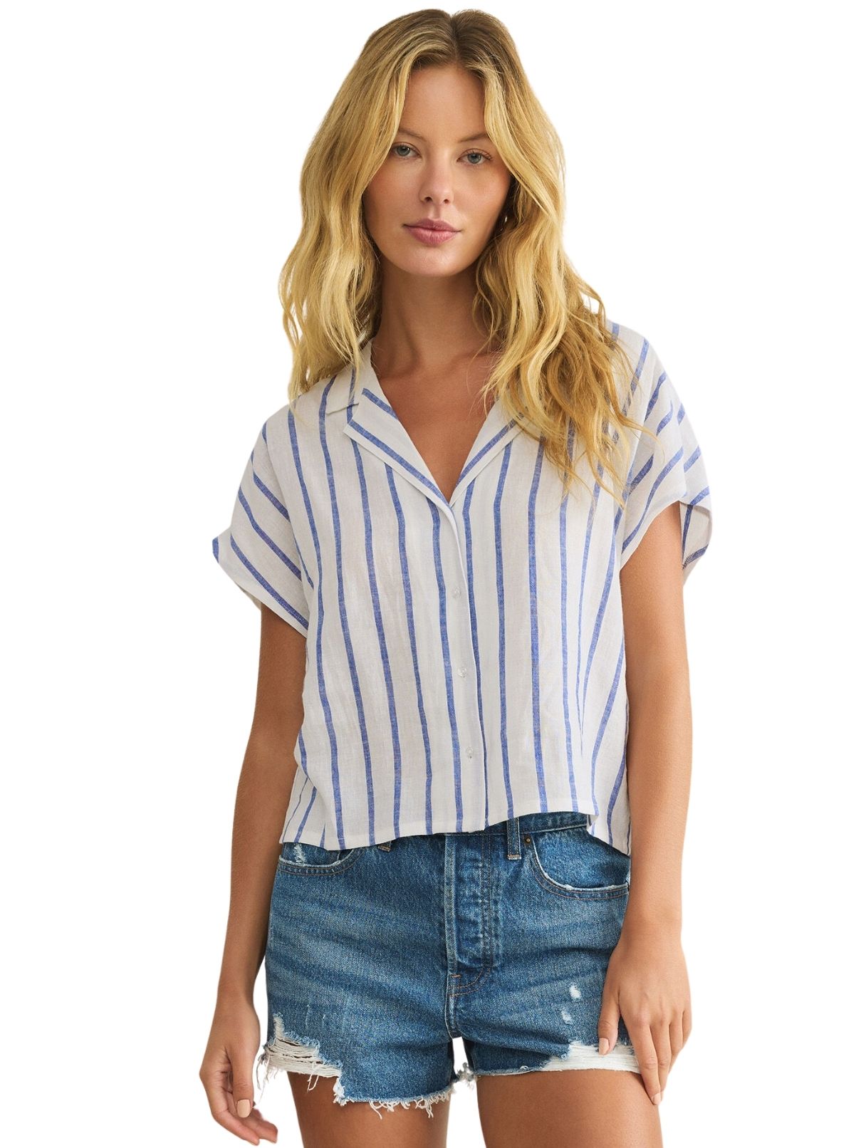 Z Supply Parallel Button Down Shirt in Palisades Blue
