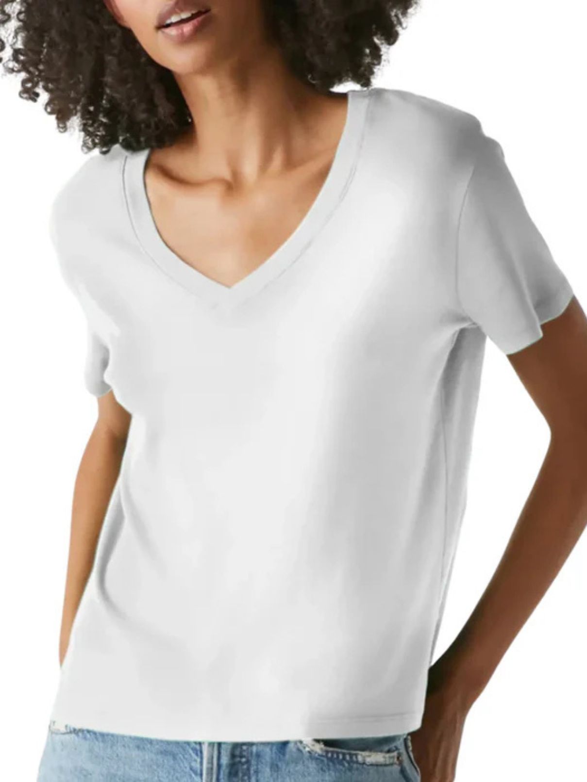 Michael Stars Dylan Classic V-Neck Tee