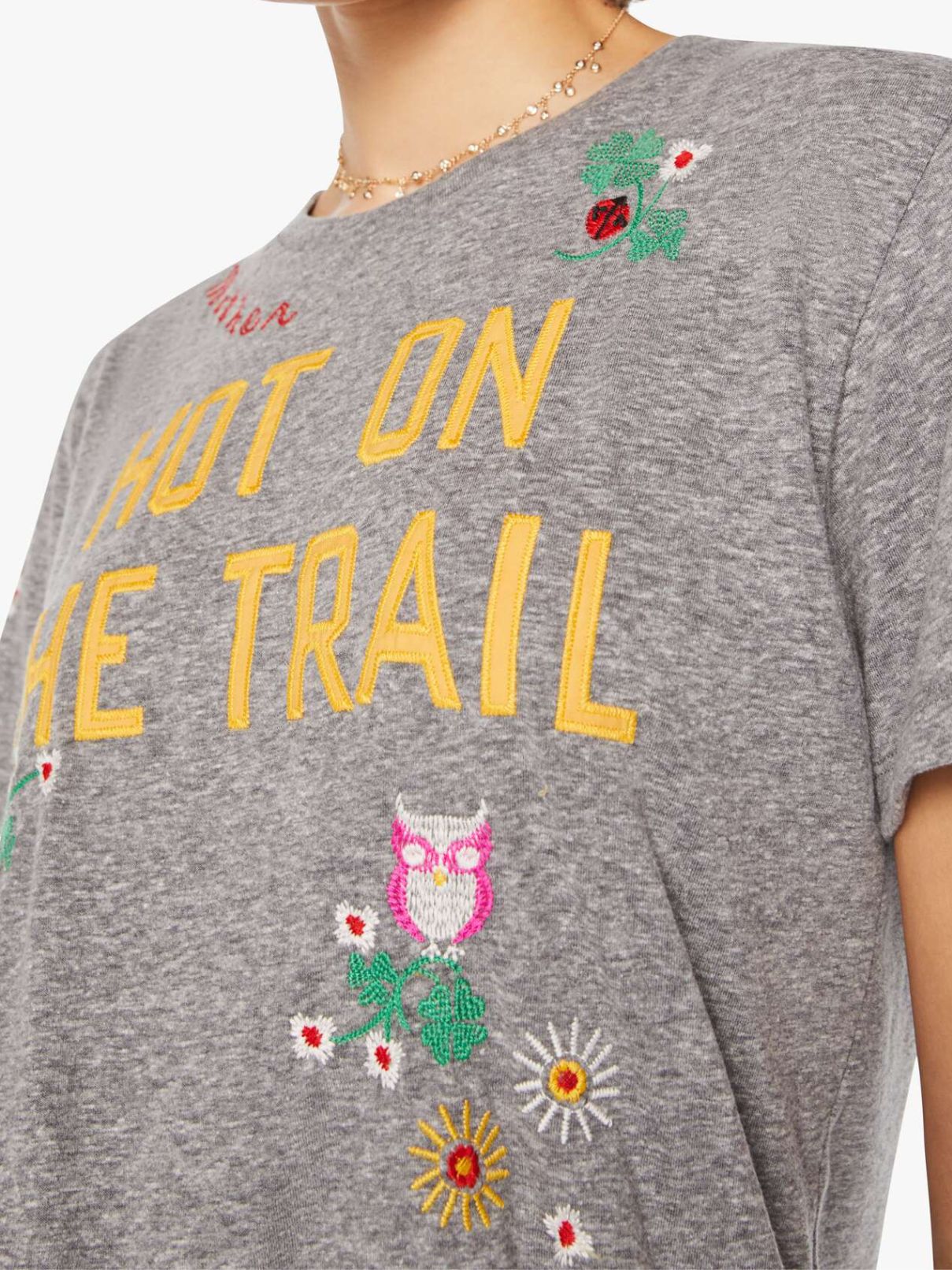 Mother Denim Rowdy Tee Hot On The Trail