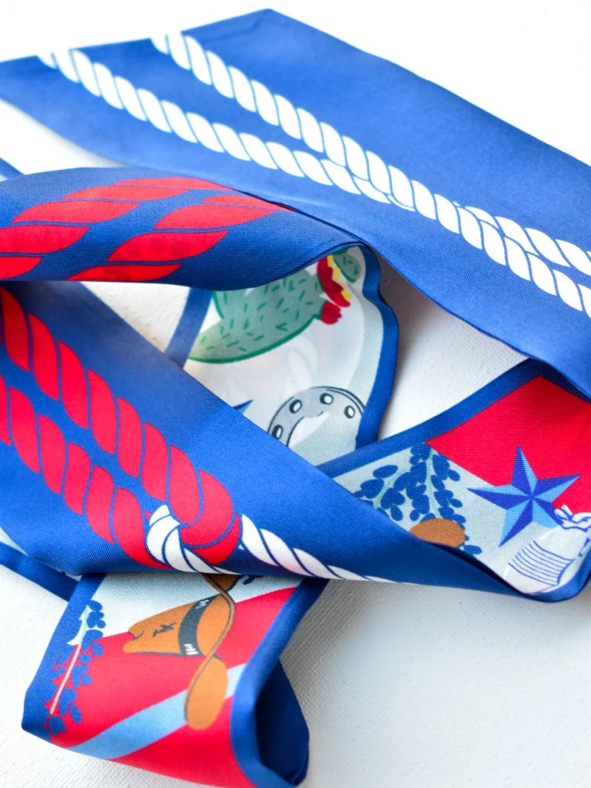 Saturday Silks Lone Star State Skinny Scarf