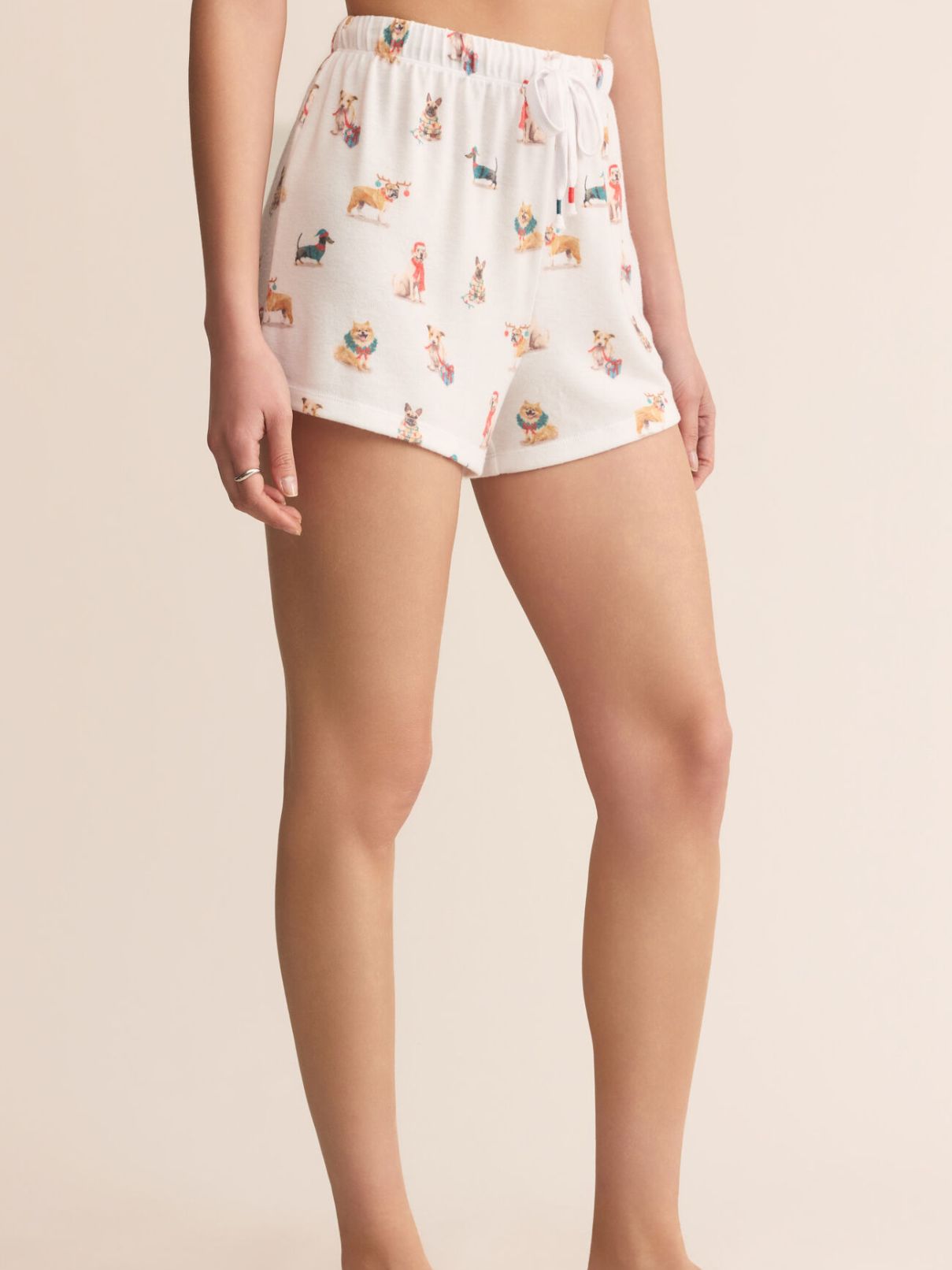 Z Supply Cozy Up Pup L/S & Pup Short Set