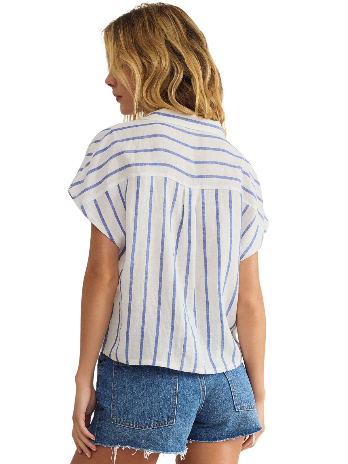 Z Supply Parallel Button Down Shirt in Palisades Blue