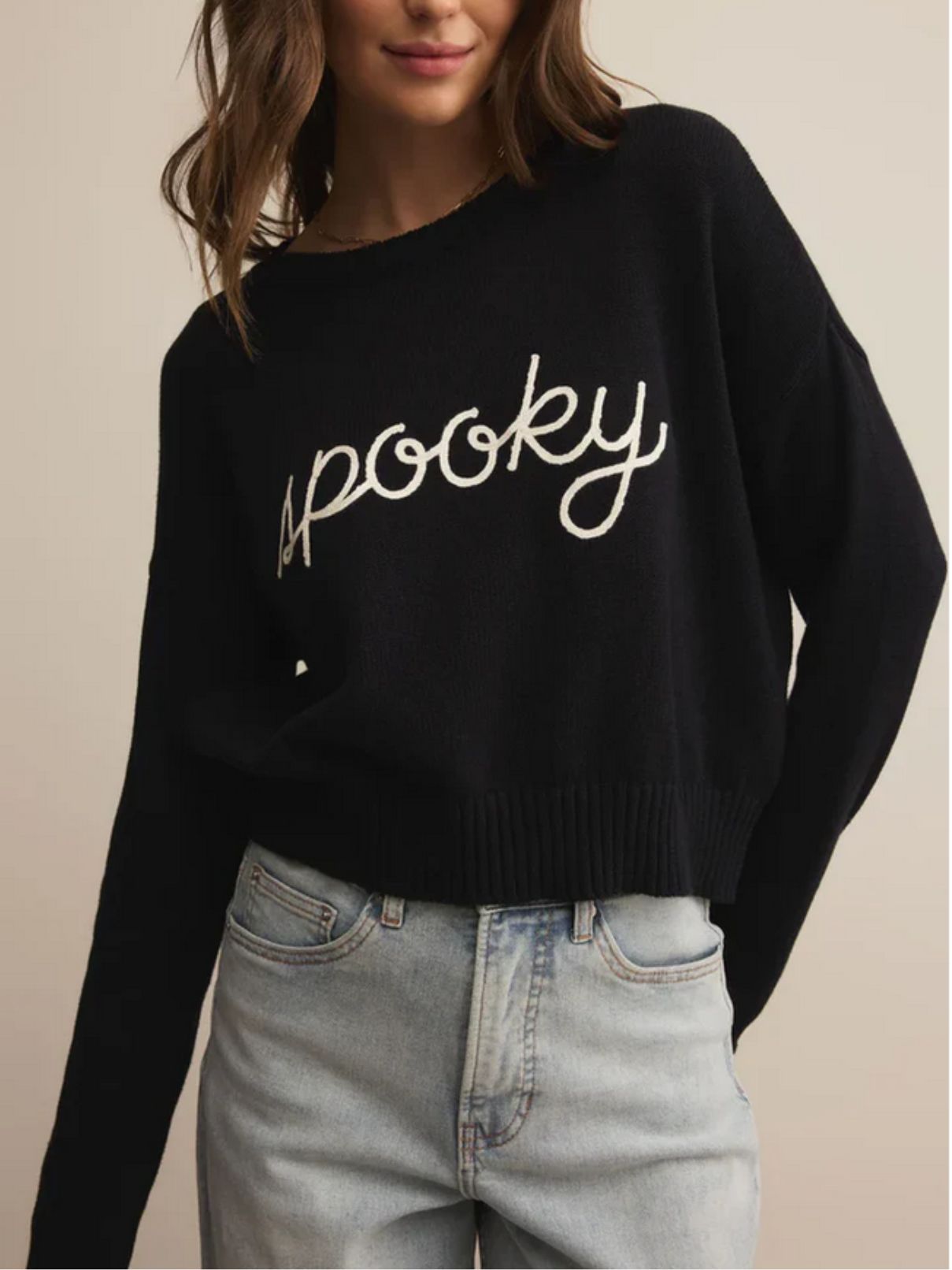 Z Supply Sienna Spooky Sw eater in Black