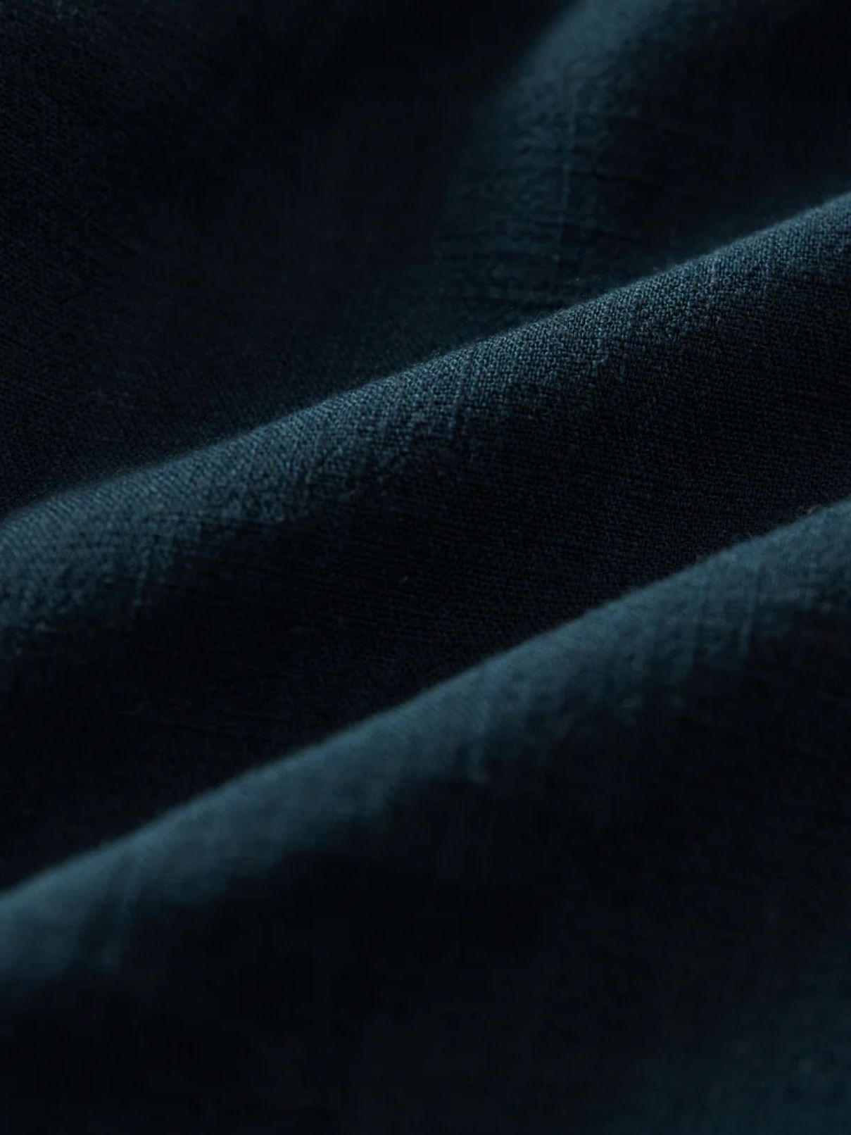 Z Supply Soren Pant in Eclipse