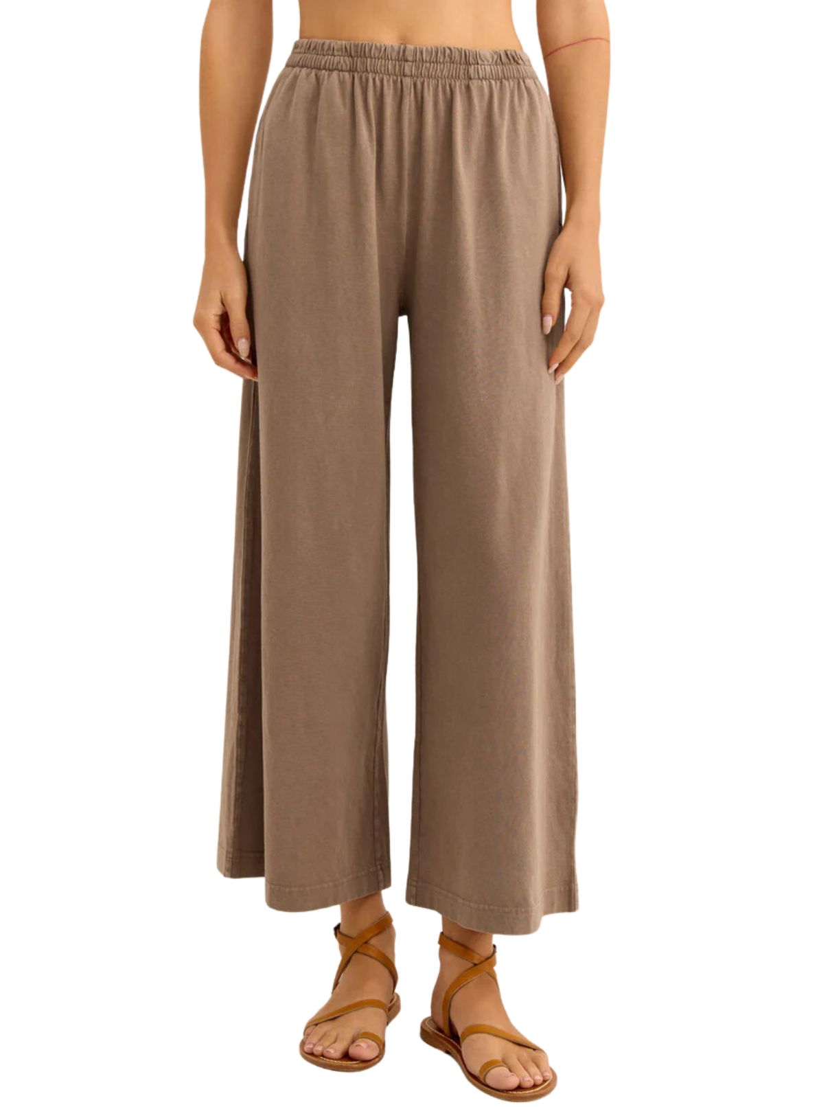 z supply scout jersey pant in iced coffee