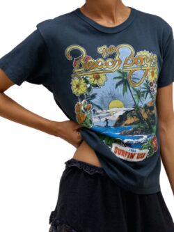 daydreamer beach boys 1963 ringer tee in vintage black