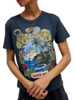 daydreamer beach boys 1963 ringer tee in vintage black