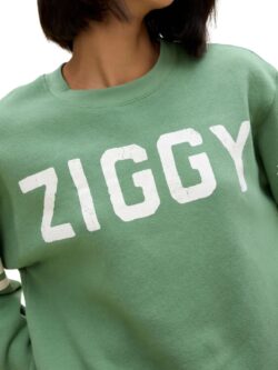 daydreamer ziggy stardust varsity sweatshirt in stone green