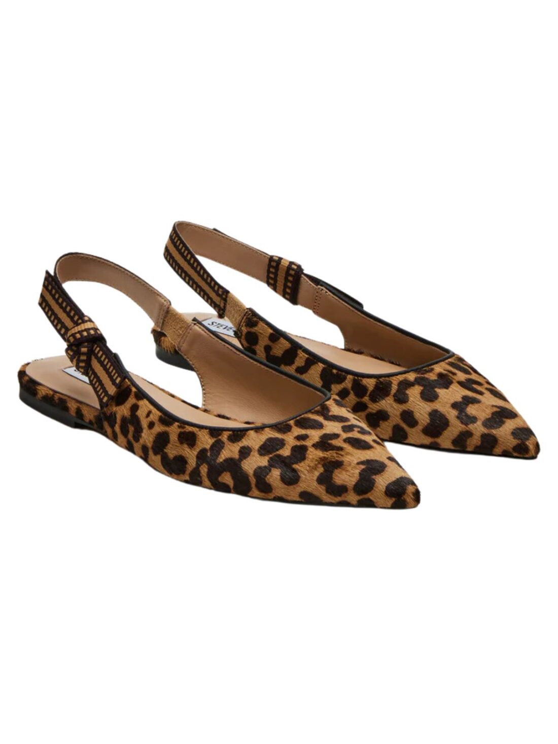 steve madden olsen a flat in leopard