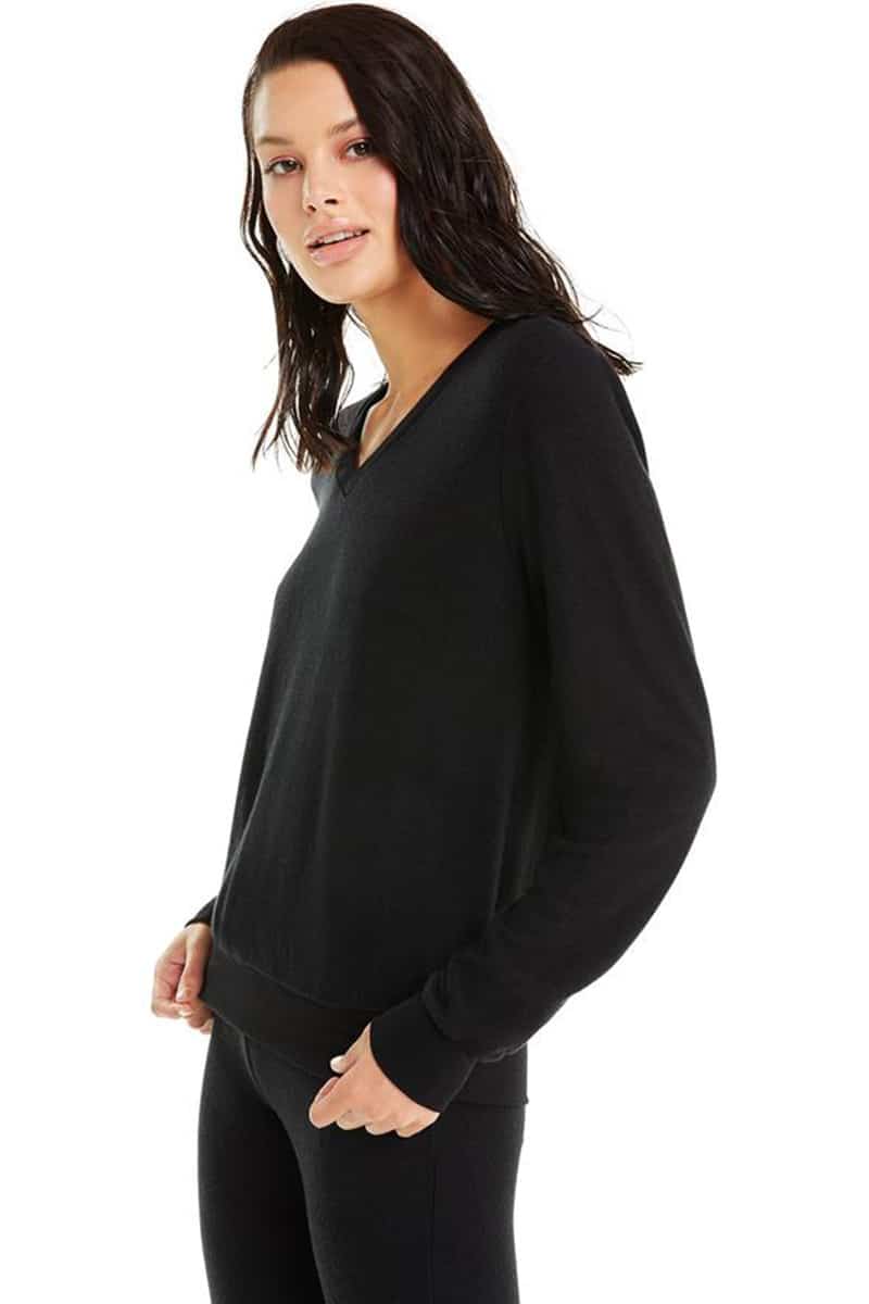 wildfox v neck sweatshirt